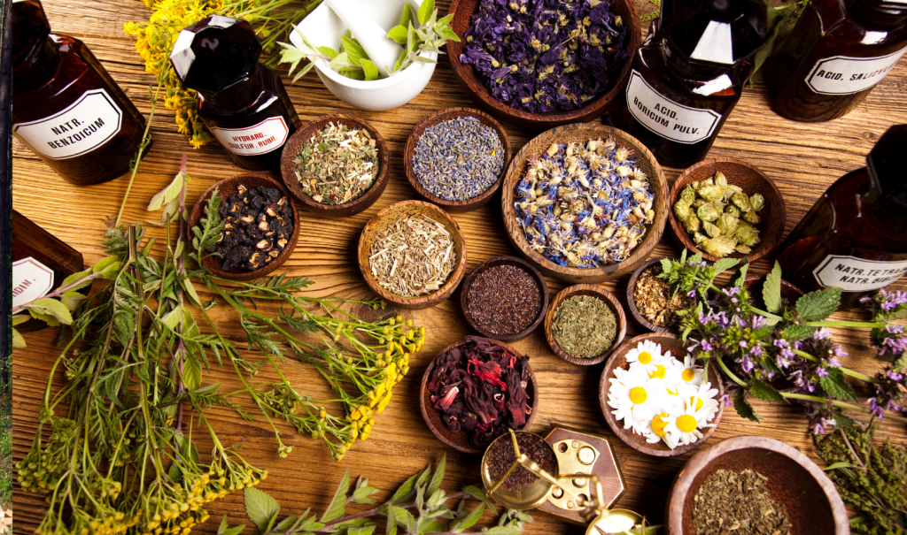 The Best Medicinal Plants to Grow