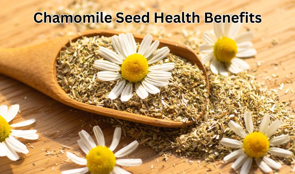 chamomile seeds