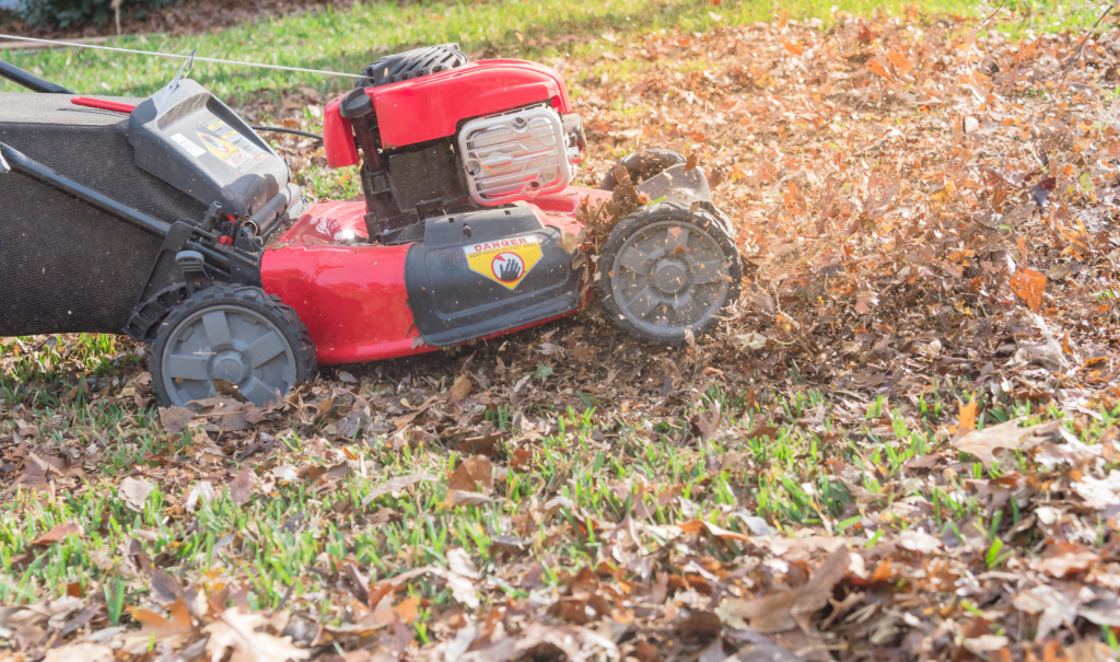 Lawn Care in Autumn