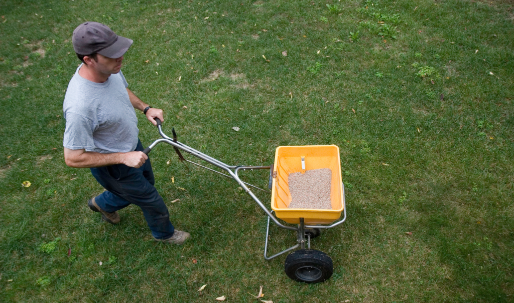 Fertilizing Your Lawn