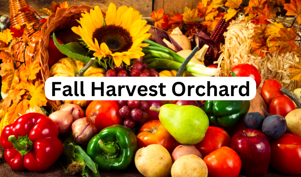 Fall Harvest Orchard