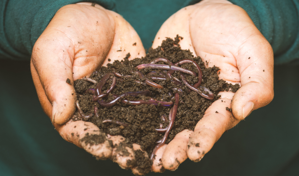 Attract More Earthworms