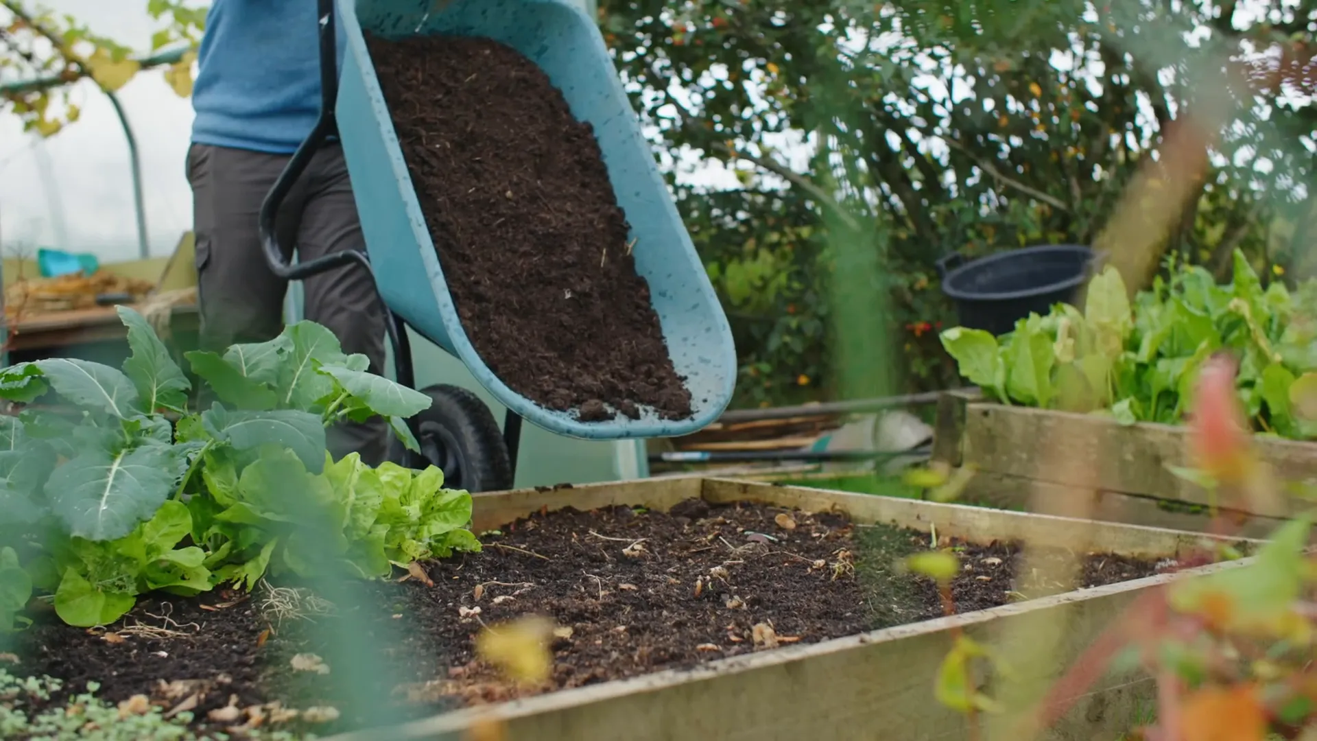 Mulching garden beds