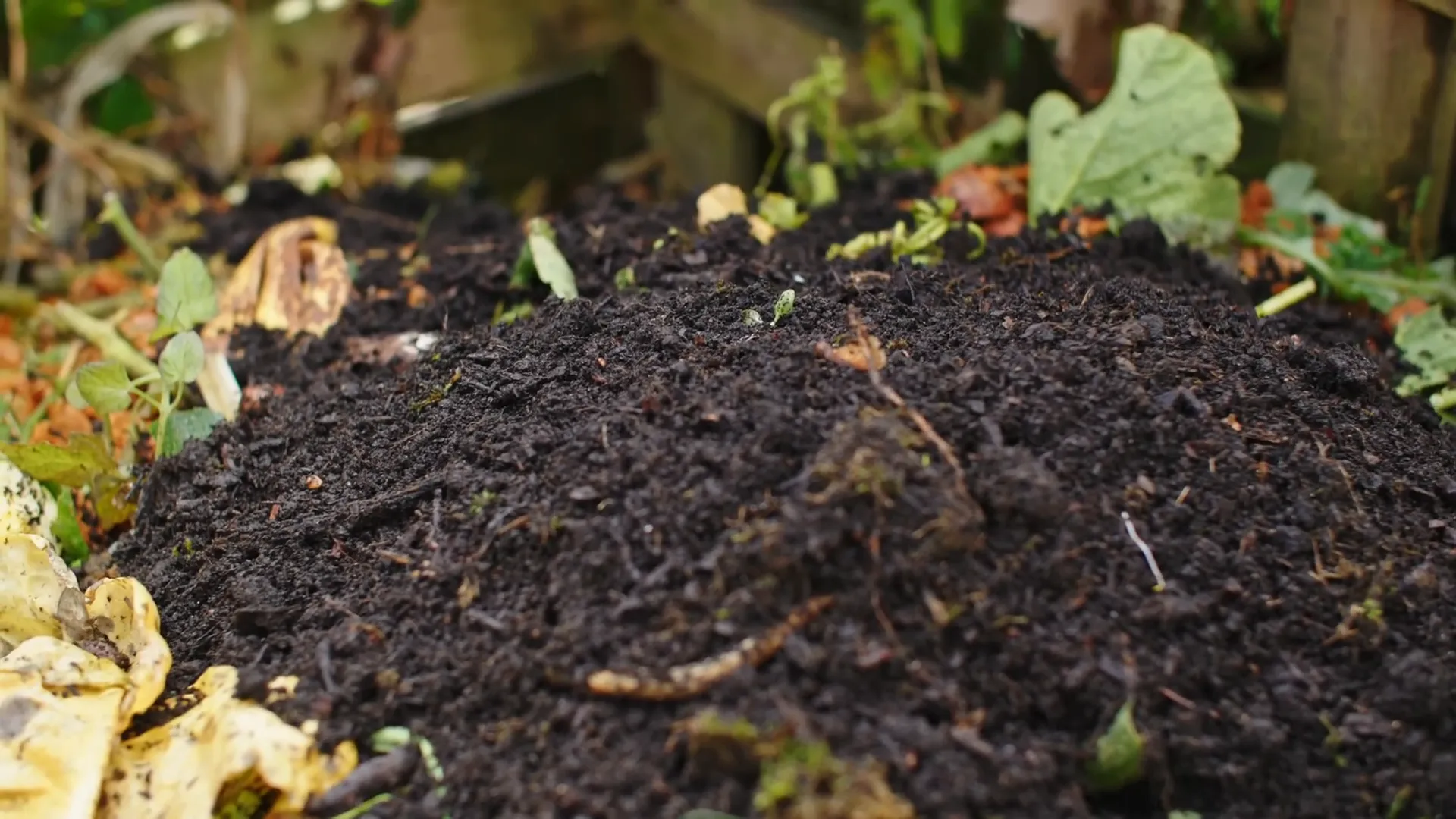 Upcycling spent compost