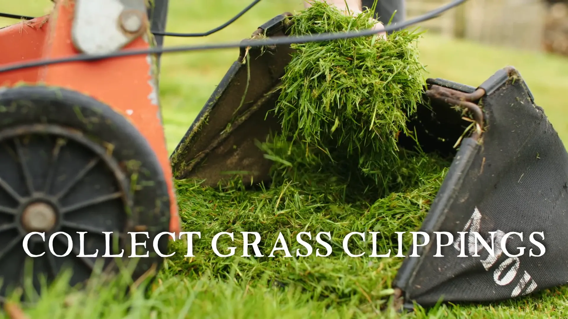 Collecting grass clippings