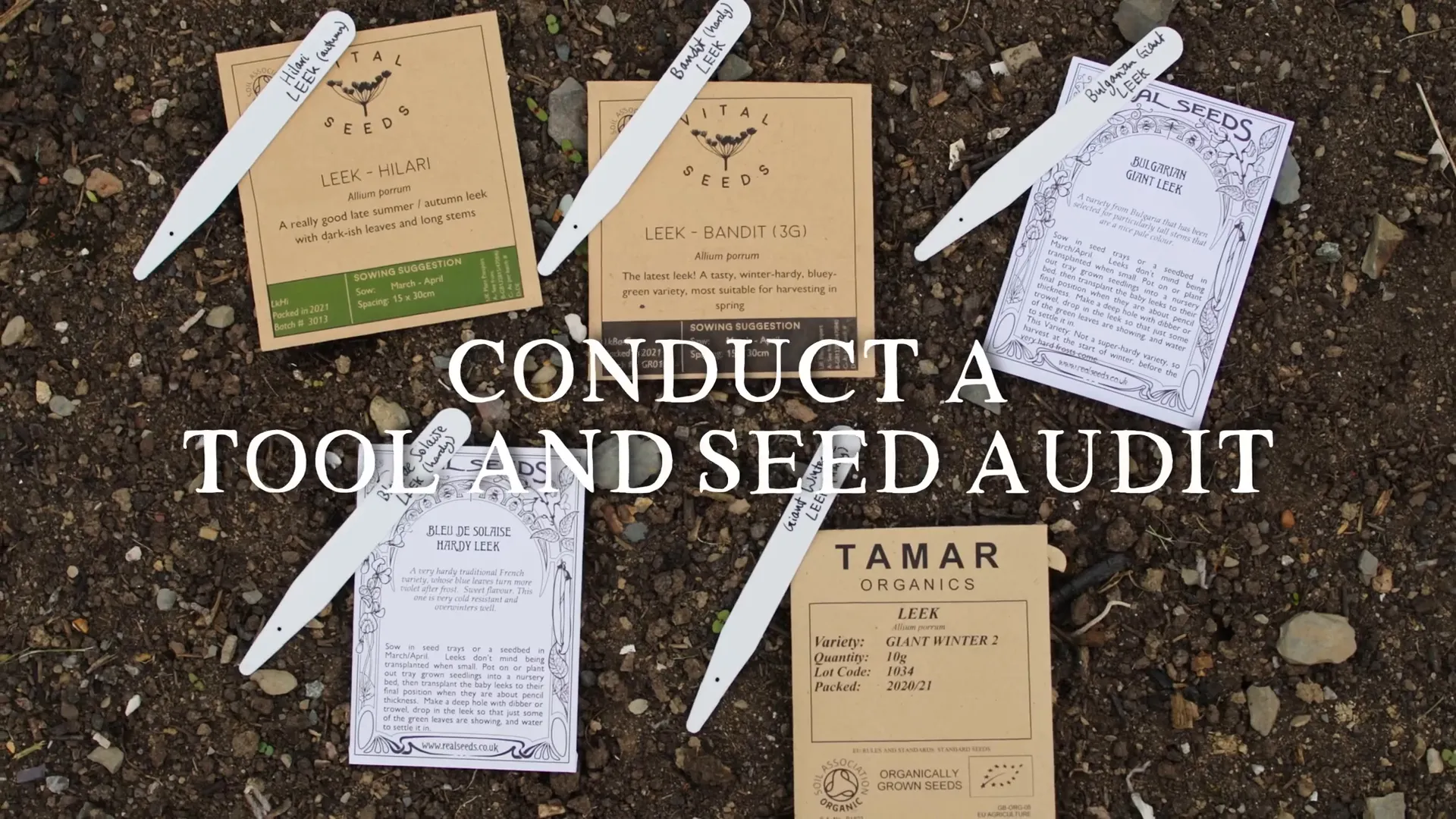 Auditing tools and seeds