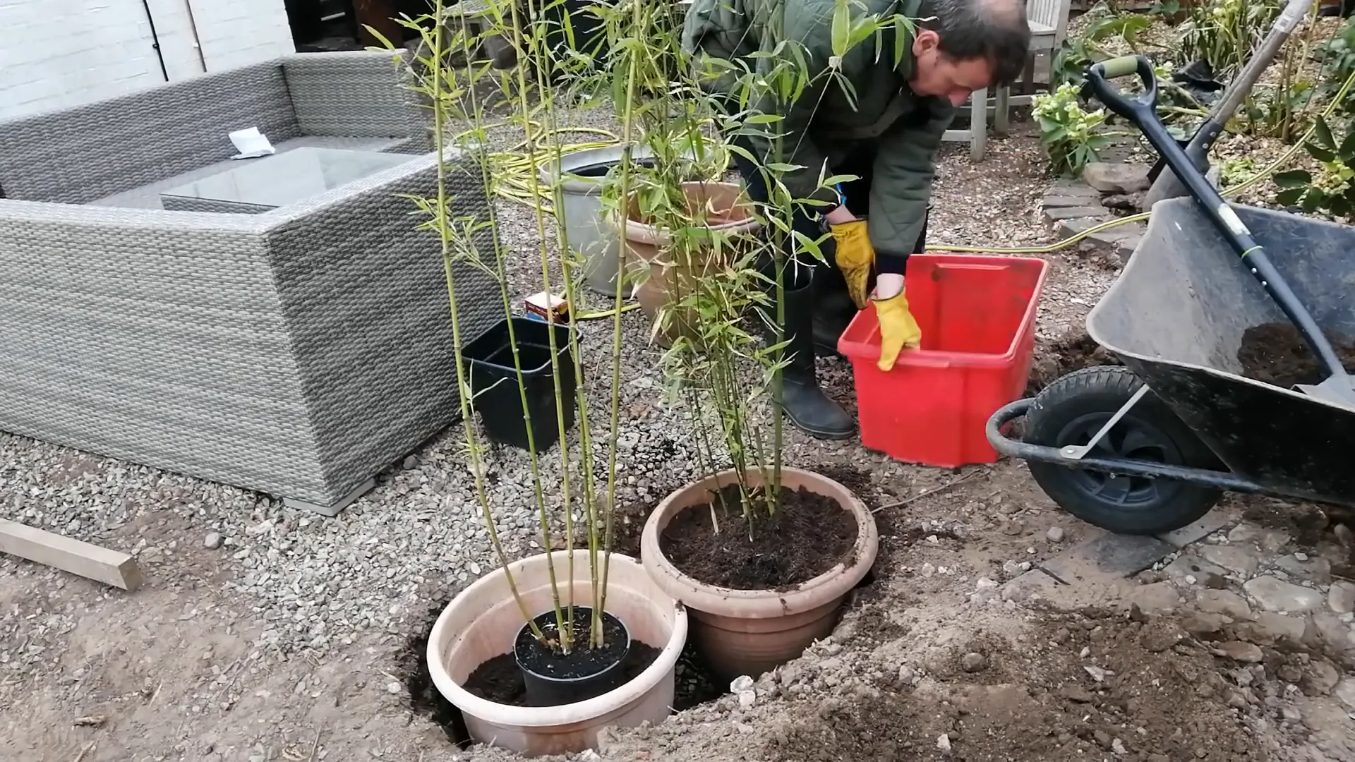 Stabilizing bamboo pots with pebbles around the base