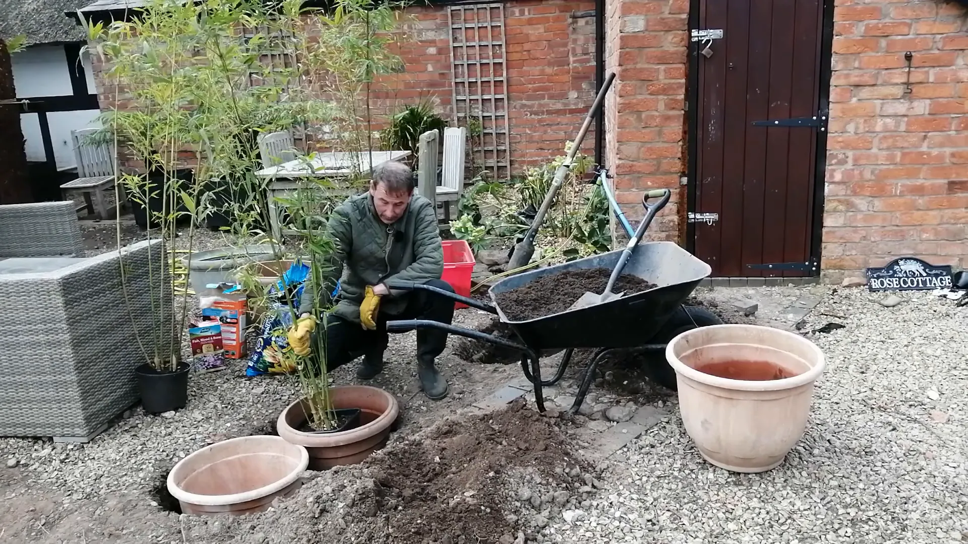 Placing bamboo in pots during planting process