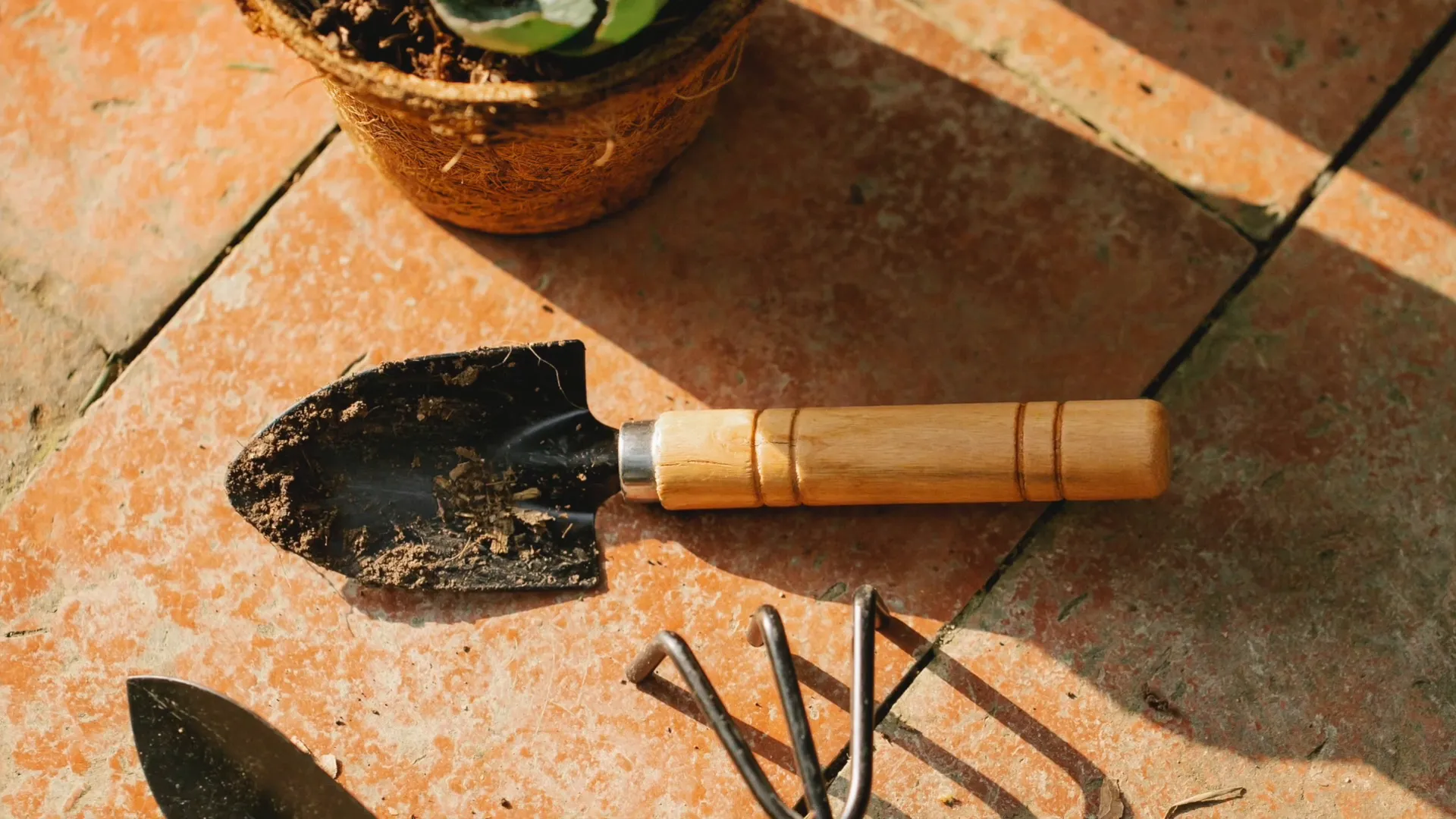 Maintaining garden tools for winter garden