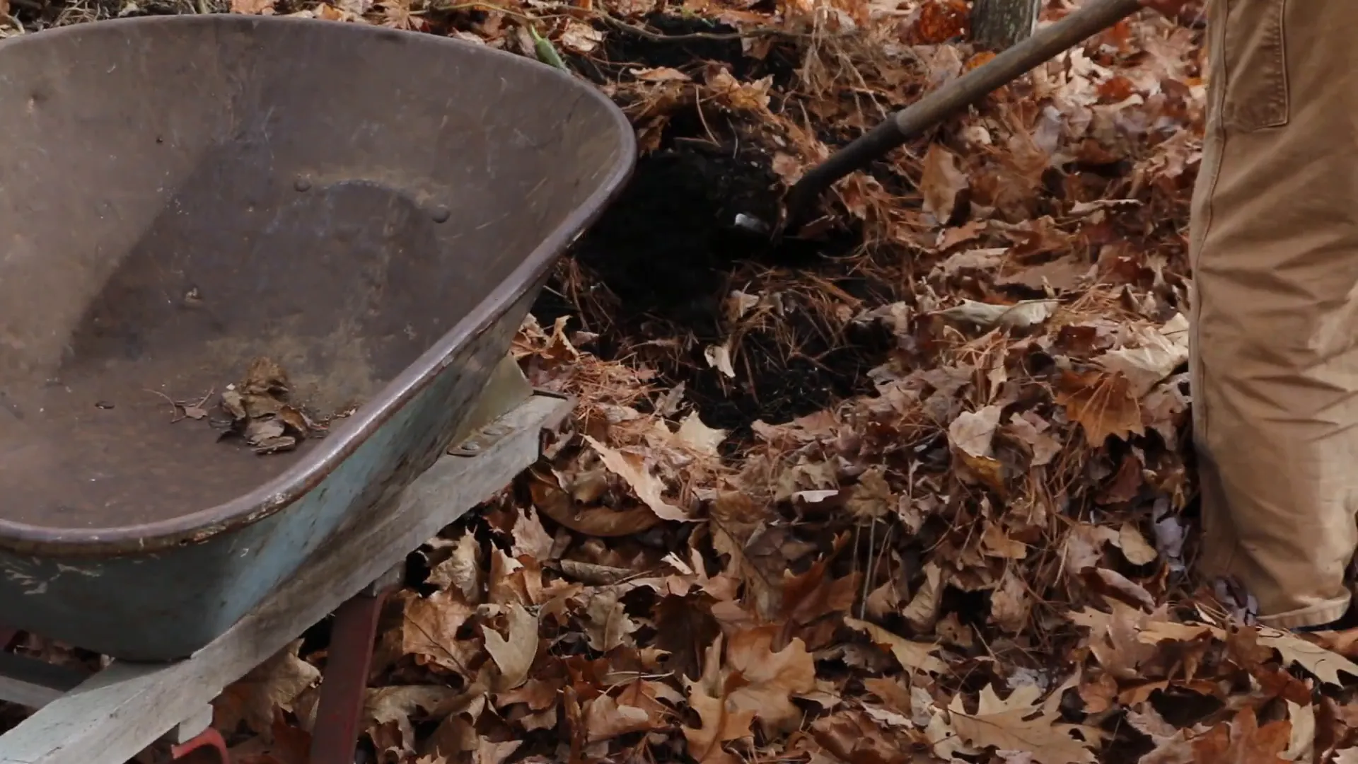 Adding compost to the winter garden