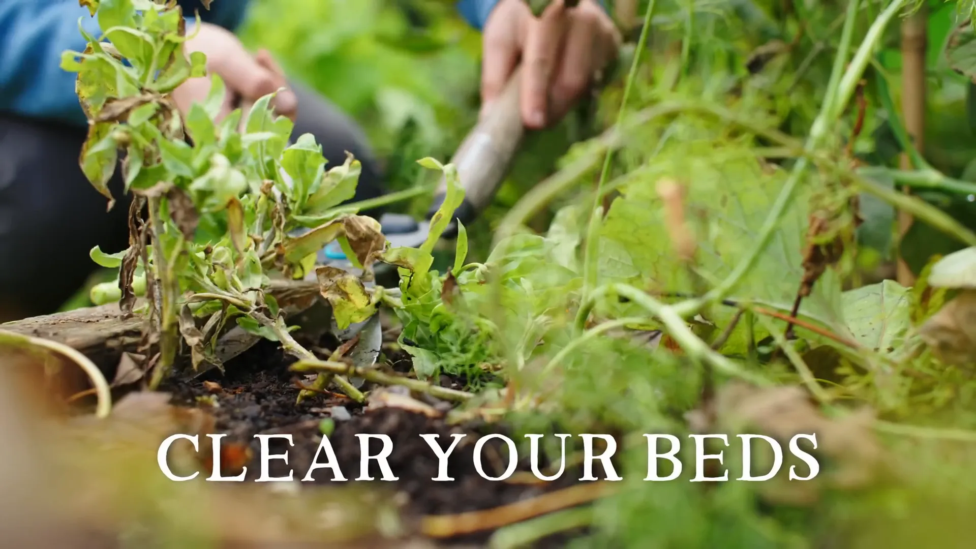 Clearing garden beds